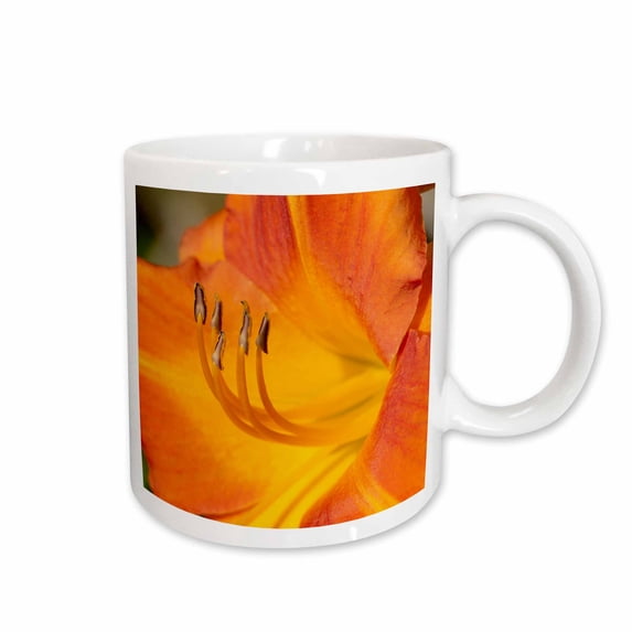 3drose, Usa, Kansas, Orange Flower Micro Shot., 15oz Mug