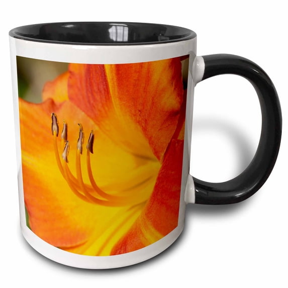 3drose, Usa, Kansas, Orange Flower Micro Shot., 15oz Two-tone Black Mug
