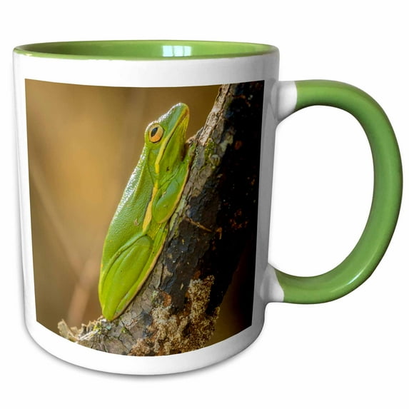 3drose, Usa, Louisiana, Atchafalaya Nwr. Green Tree Frog Close-up., 11oz Two-tone Green Mug