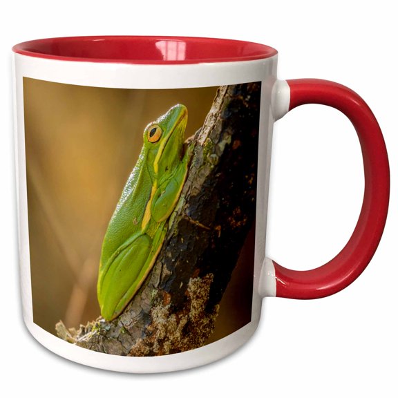 3drose, Usa, Louisiana, Atchafalaya Nwr. Green Tree Frog Close-up., 15oz Two-tone Red Mug