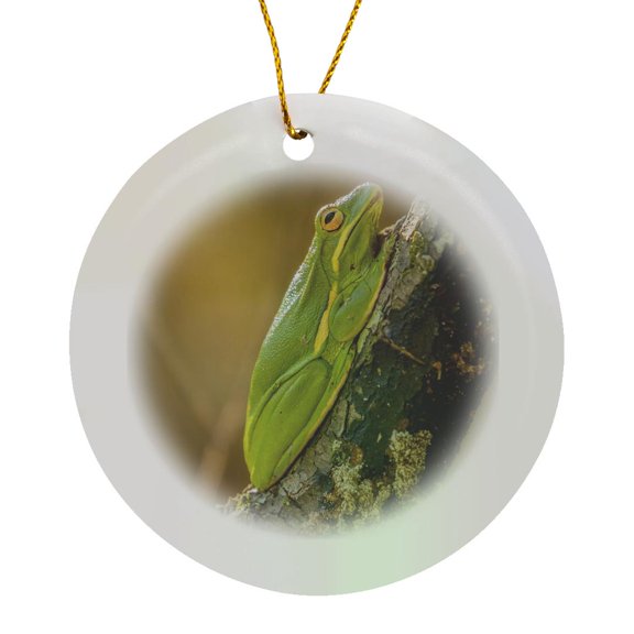 3drose, Usa, Louisiana, Atchafalaya Nwr. Green Tree Frog Close-up., Circle Porcelain Ornament