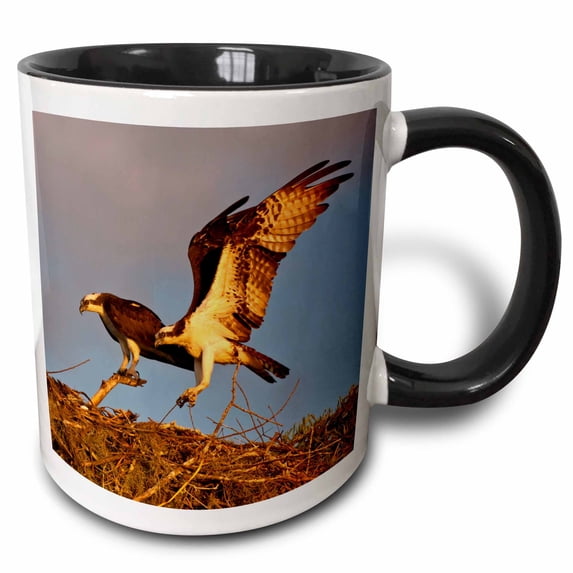 3drose, Usa, Louisiana, Atchafalaya Swamp, Osprey Birds - Us19 Bjy0002 - Jaynes Gallery, 15oz Two-tone Black Mug