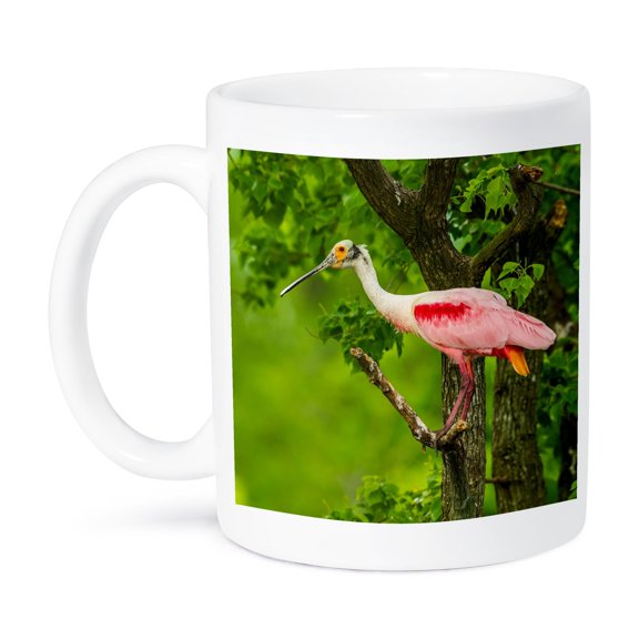 3dRose, USA, Louisiana, Jefferson Island. Roseate spoonbill on limb., 11oz Mug