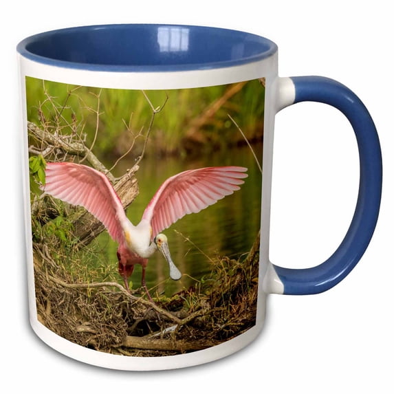 3drose, Usa, Louisiana, Vermilion Parish. Roseate Spoonbill Picking up Twig., 11oz Two-tone Blue Mug