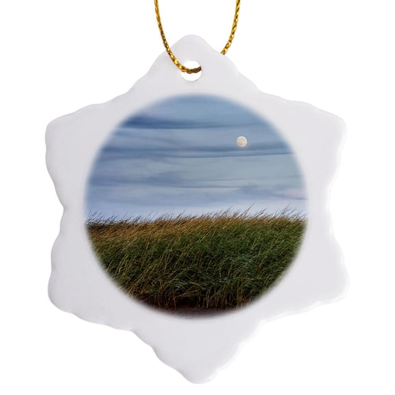3drose, Usa, Massachusetts, Cape Cod, Full Moon Rising, First Encounter Beach., 3 inch Snowflake Porcelain Ornament