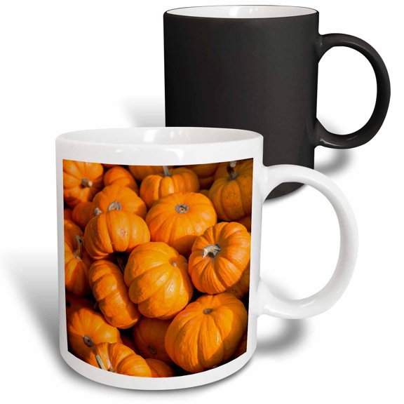 3drose, Usa, Massachusetts. Gourd., 11oz Magic Transforming Mug