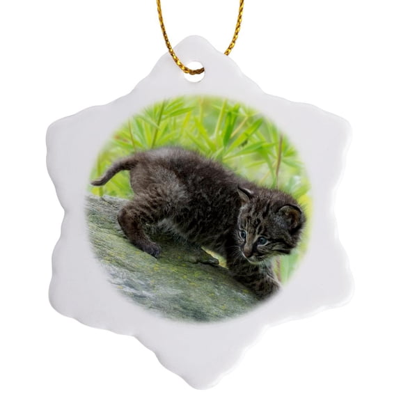 3drose, Usa, Minnesota. Bobcat Kitten on Top of Log., 3 inch Snowflake Porcelain Ornament