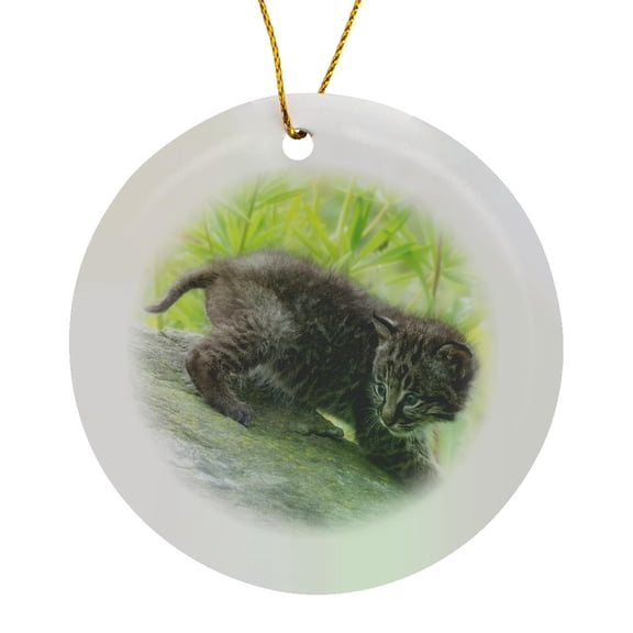 3drose, Usa, Minnesota. Bobcat Kitten on Top of Log., Circle Porcelain Ornament