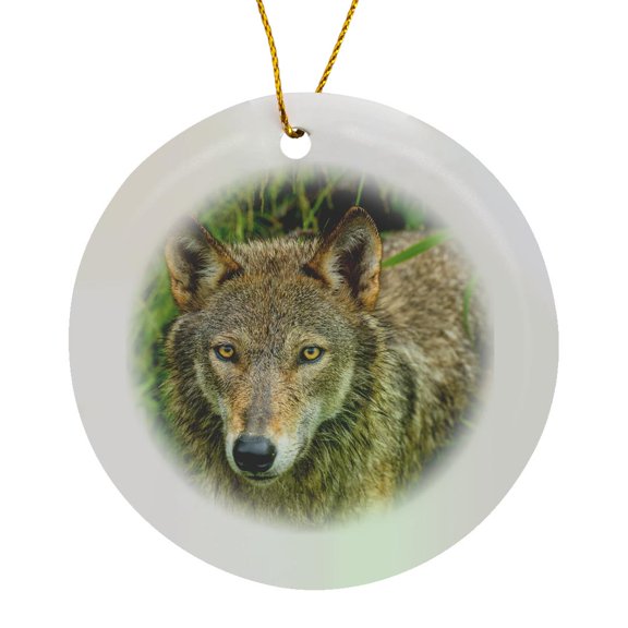 3drose, Usa, Minnesota. Close-up of Grey Wolf in the Tall Grass., Circle Porcelain Ornament