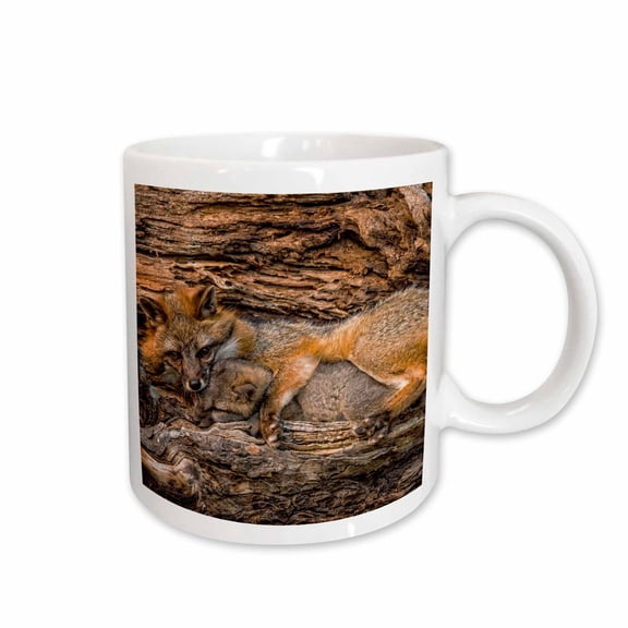 3drose, Usa, Minnesota. Grey Fox in Log with Paw Around Kit, 11oz Mug