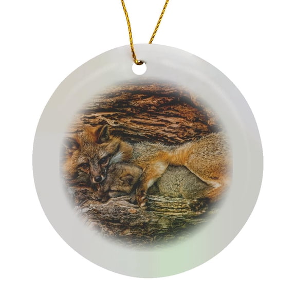 3drose, Usa, Minnesota. Grey Fox in Log with Paw Around Kit, Circle Porcelain Ornament