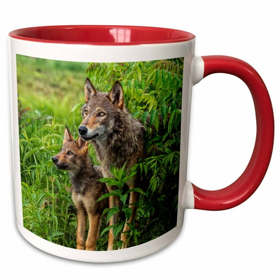 3drose, Usa, Minnesota. Grey Wolf and Pup Alert in the Bushes., 11oz Two-tone Red Mug