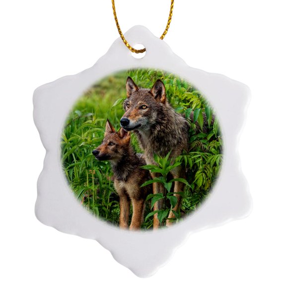 3drose, Usa, Minnesota. Grey Wolf and Pup Alert in the Bushes., 3 inch Snowflake Porcelain Ornament
