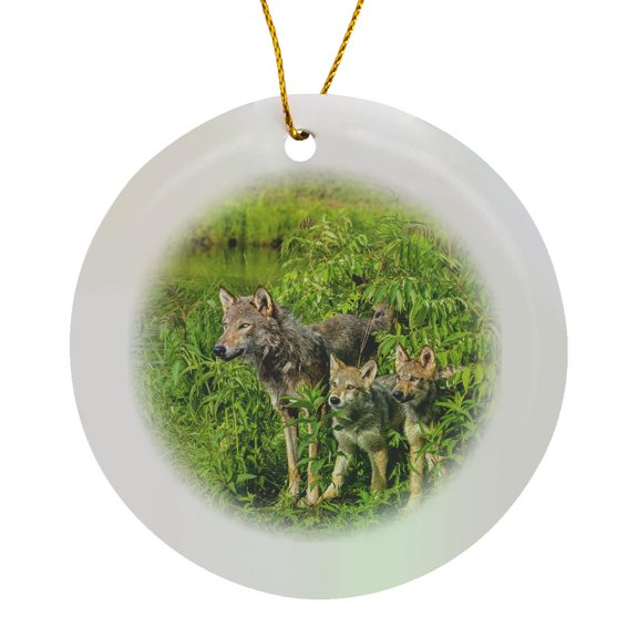 3drose, Usa, Minnesota. Grey Wolf and Pups on the Shoreline., Circle Porcelain Ornament