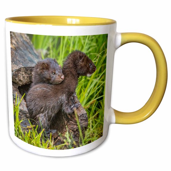 3drose, Usa, Minnesota. Mink Kits in Log Watching for Mother., 11oz Two-tone Yellow Mug
