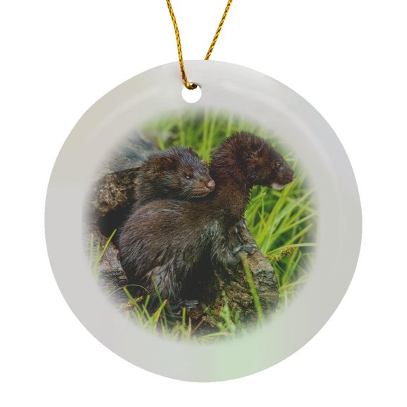 3drose, Usa, Minnesota. Mink Kits in Log Watching for Mother., Circle Porcelain Ornament