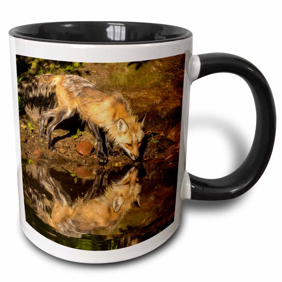 3drose, Usa, Minnesota, Pine County. Captive Red Fox Drinking., 11oz Two-tone Black Mug
