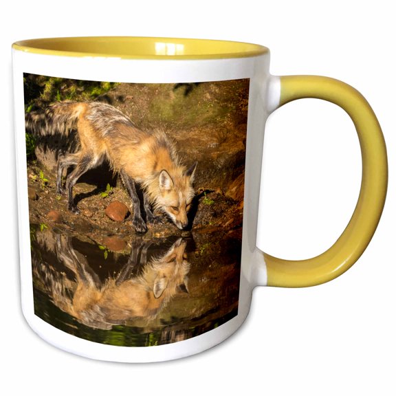 3drose, Usa, Minnesota, Pine County. Captive Red Fox Drinking., 11oz Two-tone Yellow Mug