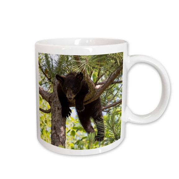 3drose, Usa, Minnesota, Sandstone, Black Bear Cub Stuck in a Tree, 11oz Mug
