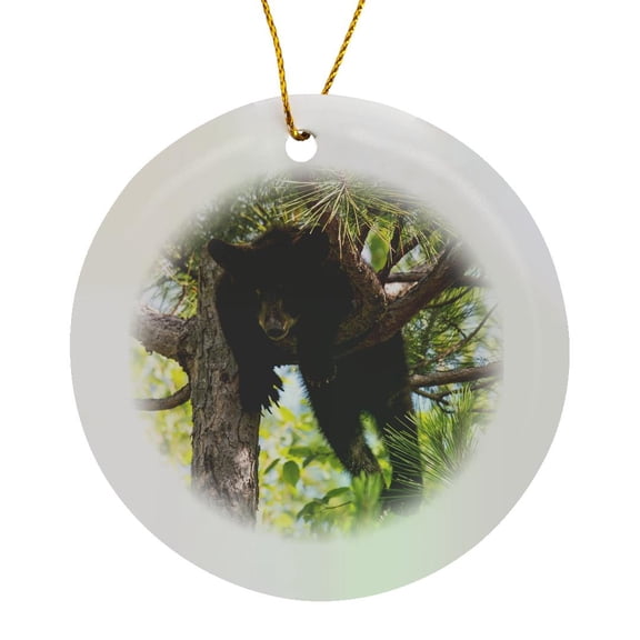 3drose, Usa, Minnesota, Sandstone, Black Bear Cub Stuck in a Tree, Circle Porcelain Ornament