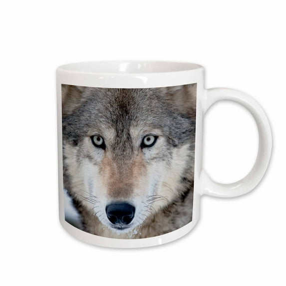 3drose, Usa, Minnesota, Sandstone, Eyes of the Wolf, 11oz Mug