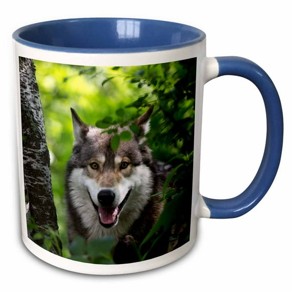 3drose, Usa, Minnesota, Sandstone, Wolf, 15oz Two-tone Blue Mug