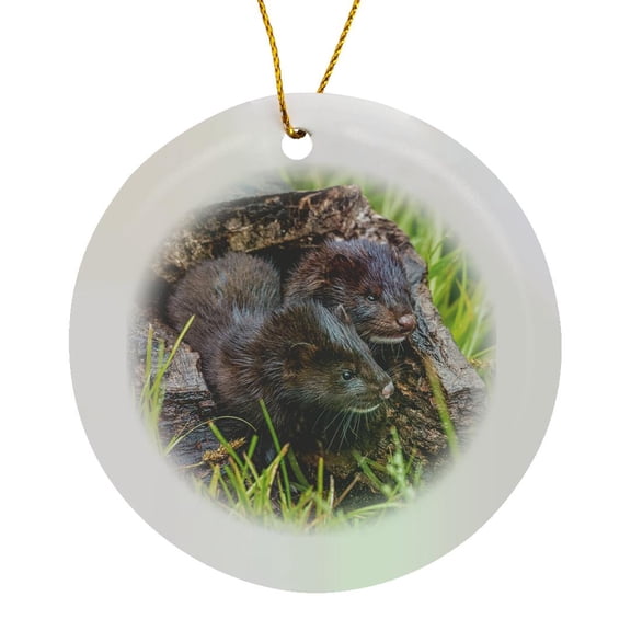 3drose, Usa, Minnesota. Two Mink Kits in Log Watching for Mother., Circle Porcelain Ornament