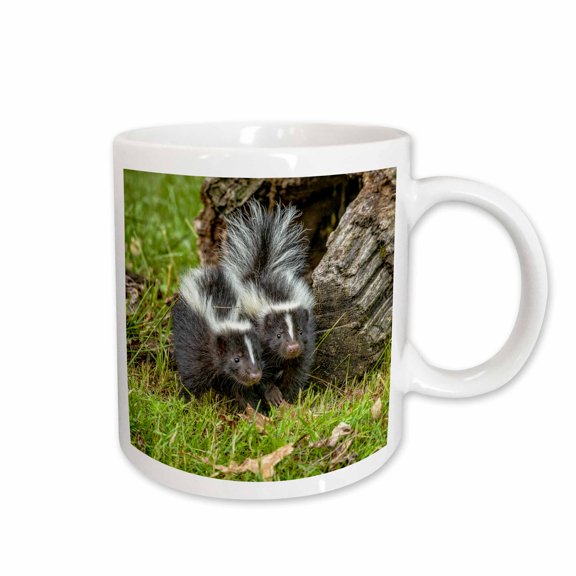 3drose, Usa, Minnesota. Two Striped Skunk Kits, 11oz Mug