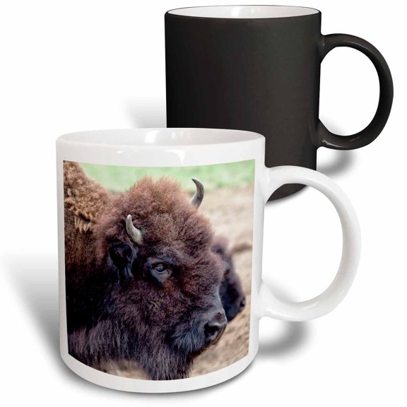 3drose, Usa, Montana, Moiese. Bison Portrait at National Bison Range., 11oz Magic Transforming Mug