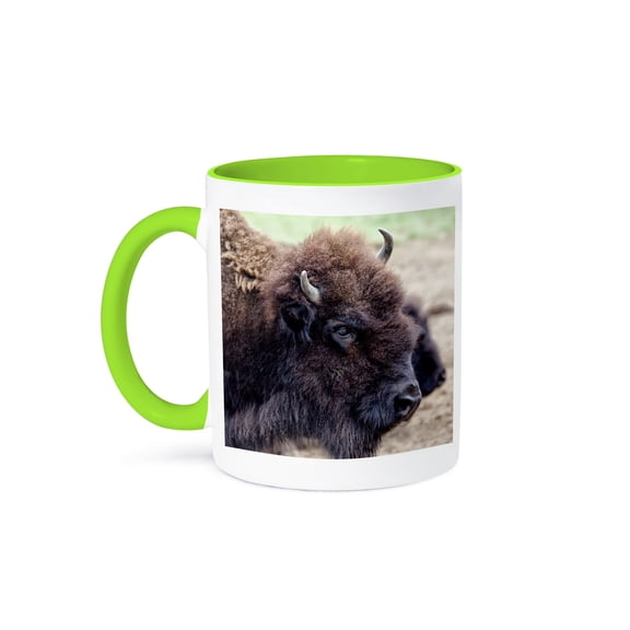 Usa, Montana, Moiese. Bison Portrait At National Bison Range., 15oz Two-Tone Green Mug