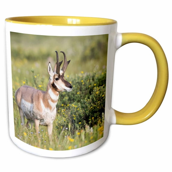 3drose, Usa, Montana, Pronghorn Antelope Buck Standing in a Wildflower Meadow, 15oz Two-tone Yellow Mug
