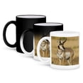 thumbnail image 1 of 3dRose, USA, Montana, Pronghorn antelope - US27 JMC0016 - Joe and Mary Ann McDonald, 11oz Magic Transforming Mug, 1 of 8