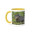 thumbnail image 1 of Usa. Mt. Rainier N.P. Young American Pika Feeding., 15oz Two-Tone Yellow Mug, 1 of 7