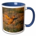 thumbnail image 1 of 3drose, Usa, Nebraska, Sand Hills. Greater Prairie Chicken Male Taking Flight., 11oz Two-tone Blue Mug, 1 of 6