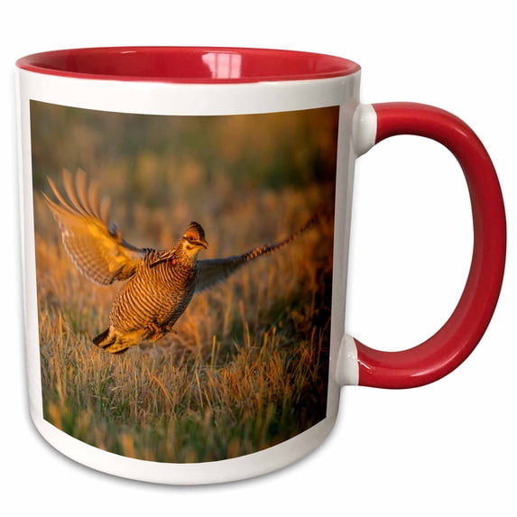 3drose, Usa, Nebraska, Sand Hills. Greater Prairie Chicken Male Taking Flight., 15oz Two-tone Red Mug
