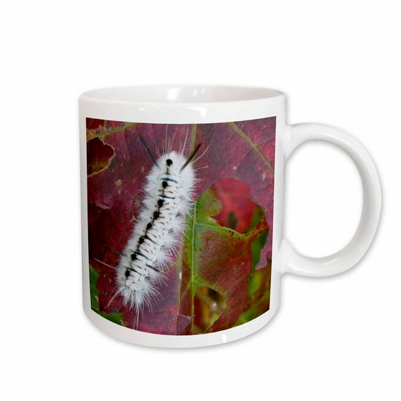 3drose, Usa, New Hampshire. White Wooly Bear Caterpillar Eating a Maple Leaf, 15oz Mug