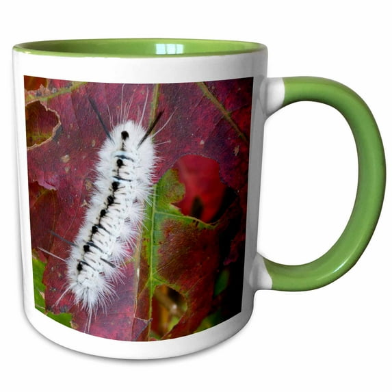3drose, Usa, New Hampshire. White Wooly Bear Caterpillar Eating a Maple Leaf, 15oz Two-tone Green Mug