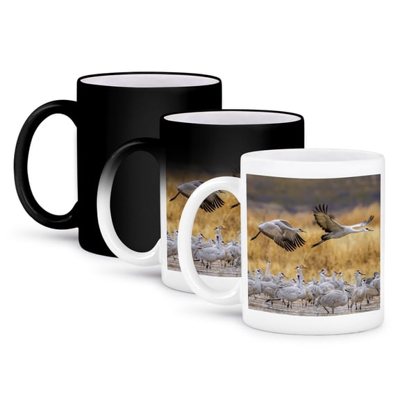 Usa, New Mexico, Bosque Del Apache Nwr. Sandhill Cranes Flying, Flock, 11oz Magic Transforming Mug