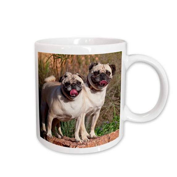 3drose, Usa, New Mexico. Two Pugs Standing Together on a Rock Looking at You., 15oz Mug