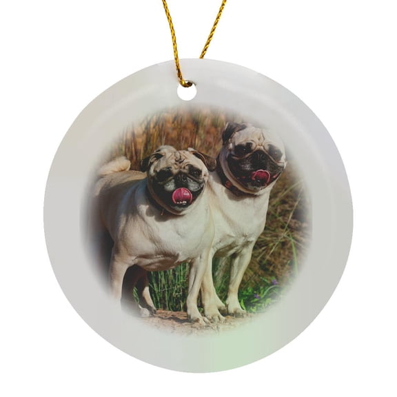 3drose, Usa, New Mexico. Two Pugs Standing Together on a Rock Looking at You., Circle Porcelain Ornament