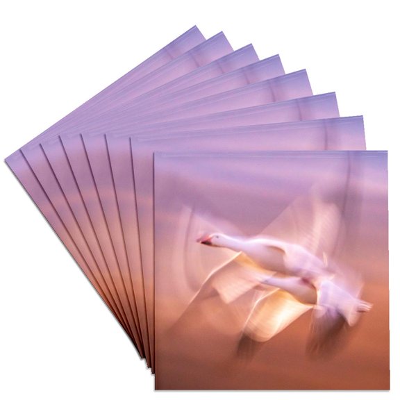 3drose, Usa, New Mexico,wildlife Refuge. Blur of Snow Geese Flying., Set of 8 Ceramic Tile Coasters