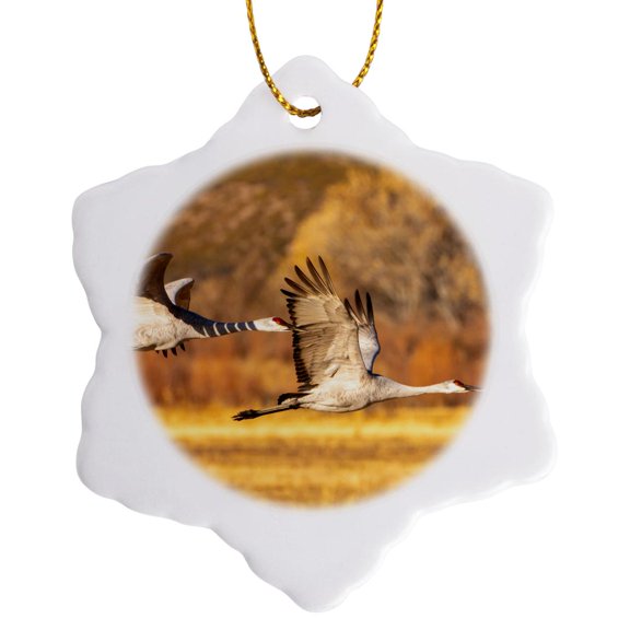 3drose, Usa, New Mexico,wildlife Refuge. Sandhill Cranes Flying, 3 inch Snowflake Porcelain Ornament