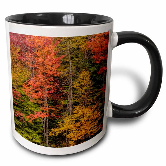 3drose, Usa, New York, Adirondack Mountains. Autumn-colored Trees., 15oz Two-tone Black Mug