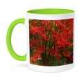 thumbnail image 1 of 3dRose, USA, New York, Adirondack Park, Red Maple , 15oz Two-Tone Green Mug, 1 of 7