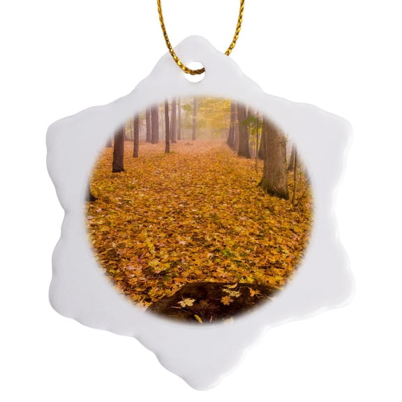 3drose, Usa, New York, Letchworth State Park. Autumn Forest Scenic., 3 inch Snowflake Porcelain Ornament