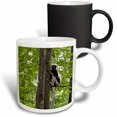 thumbnail image 1 of 3drose, Usa, North Carolina, Duke Lemur Center, Coquerels Sifaka. Captive., 11oz Magic Transforming Mug, 1 of 7