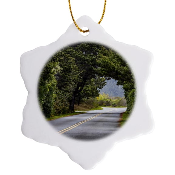 3drose, Usa, Oregon, Bullards Beach Sp. Tree Arch over Road, 3 inch Snowflake Porcelain Ornament