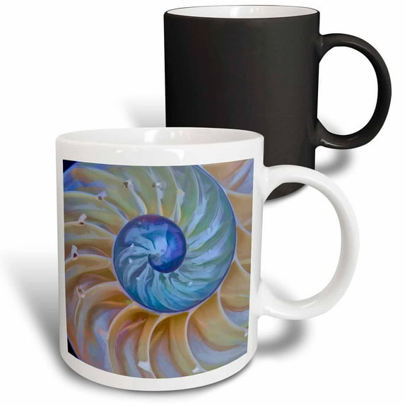 3drose, Usa, Oregon. Close-up of Chambered Nautilus Cut in Half., 11oz Magic Transforming Mug
