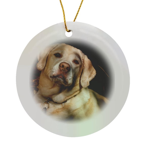3drose, Usa, Oregon, Keizer, Labrador Retriever, Pr., Circle Porcelain Ornament