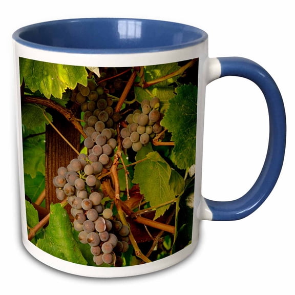 3drose, Usa, Oregon, Keizer, Pinot Gris Grape Vineyard - Us38 Rbr0729 - Rick a Brown, 11oz Two-tone Blue Mug